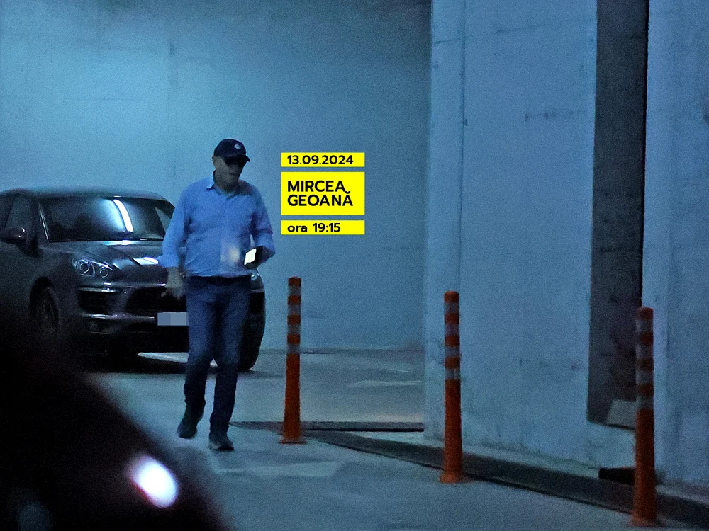 Mircea Geoană a fost de cinci ori acasă la deputată FOTO societatea.ro