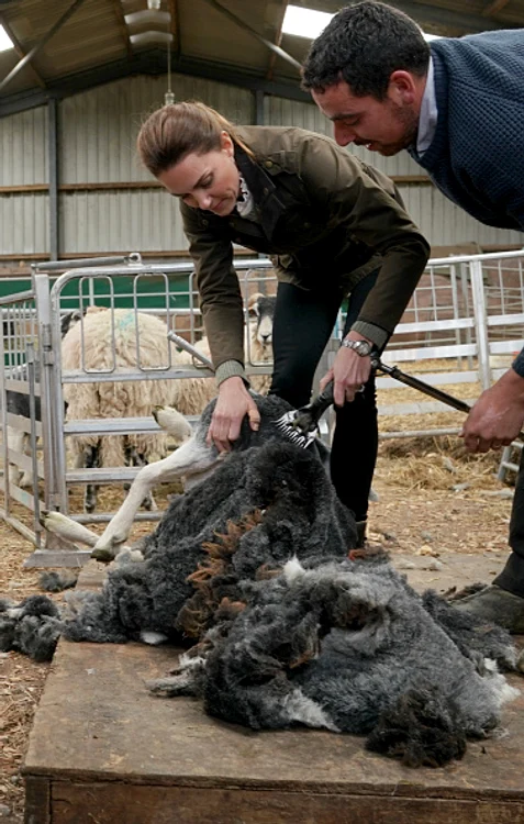 Kate Middleton a încercat să tundă o oaie