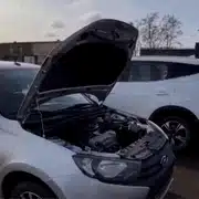 rusoaica gif gif