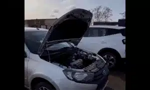 rusoaica gif gif
