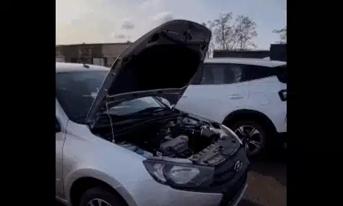 rusoaica gif gif