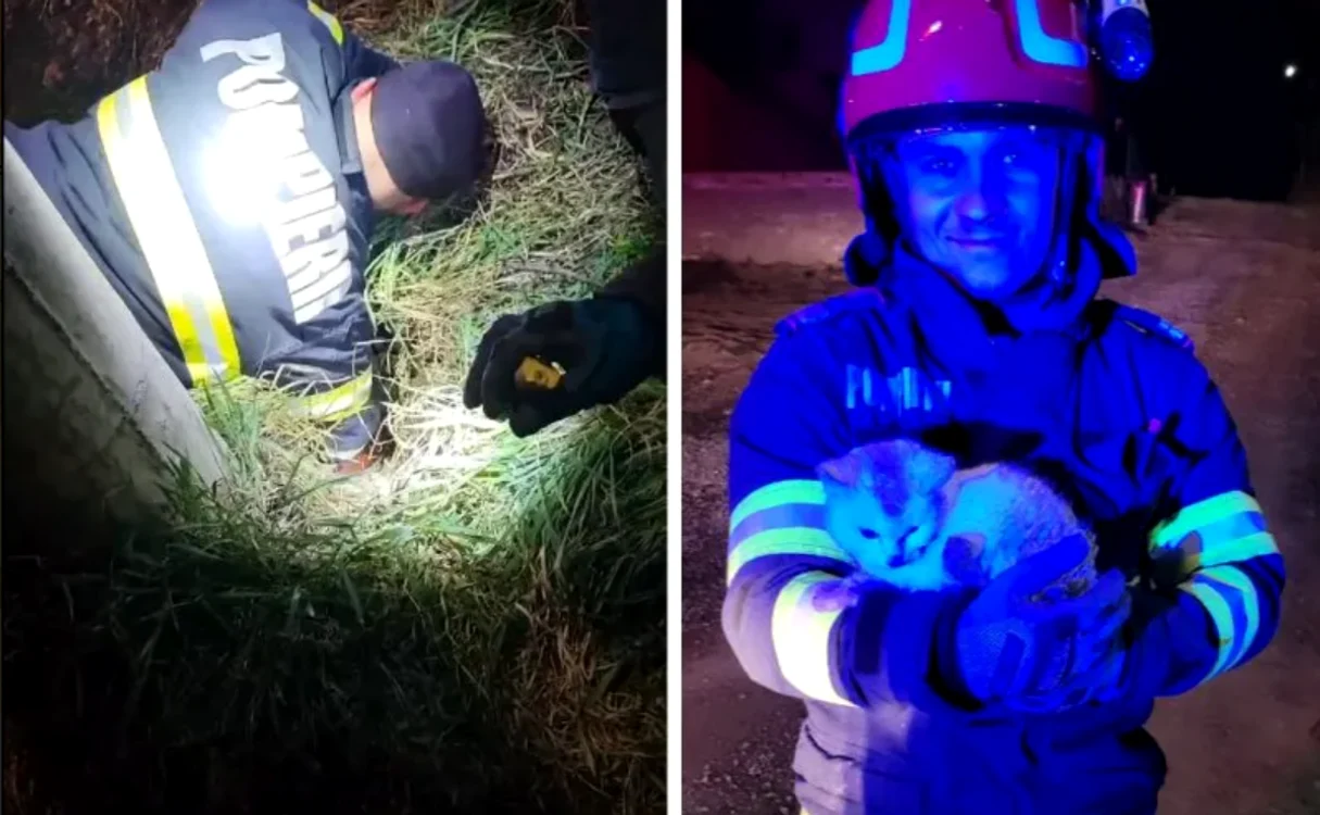 Pompierii au reușit să scoată pisica blocată din țeavă. FOTO: Turda News