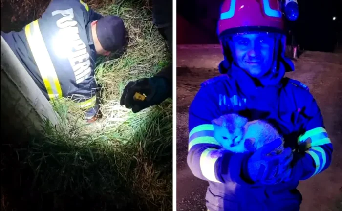 Pompierii au reușit să scoată pisica blocată din țeavă. FOTO: Turda News