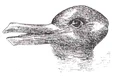 duckrabbitmain jpg