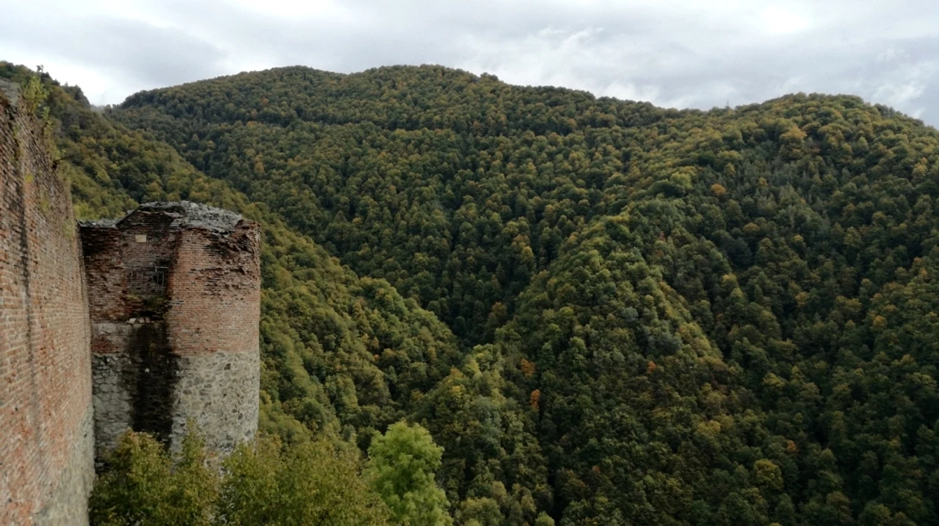Cetatea Poenari 5 jpg jpeg