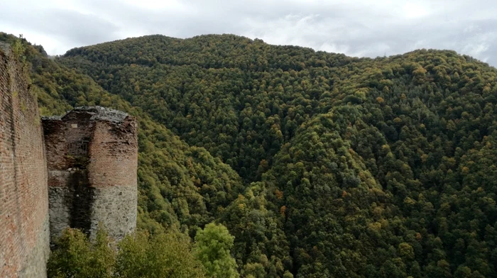 Cetatea Poenari 5 jpg jpeg