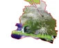 1 Fir II Isvarna Craiova jpg