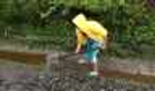 inundatii la eibenthal FOTO Corina Macavei