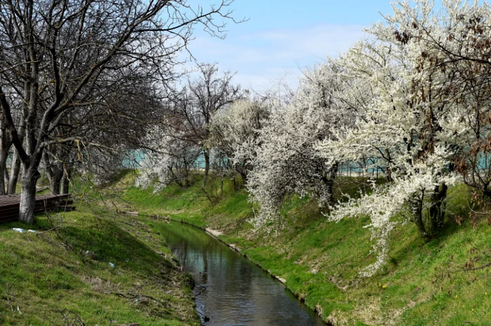 Pârâul Peța, Oradea, Bihor SURSA Bihoreanul