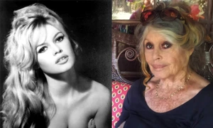 brigitte bardot jpeg