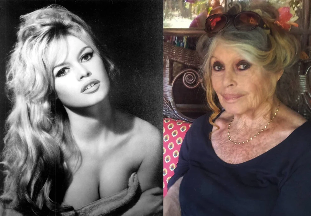 Bătălie în instanță pentru averea lui Brigitte Bardot. Soțul și fiul contestă testamentul actriței, care a dedicat o mare parte din bani protecției animalelor