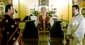 moaste tulcea