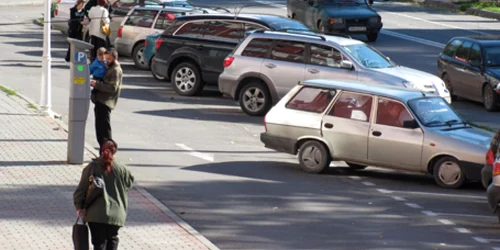 Pe străzile din Piatra Neamţ au mai rămas foarte puţine rable