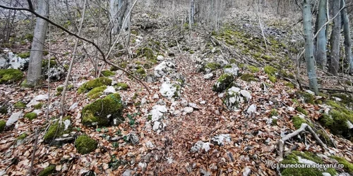 marele zid dacic cioclovina ponorici foto daniel guta adevarul