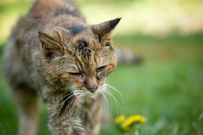 
    Oana Zăvoranu, mesaj emoţionant pentru mama eiFoto: Click!  