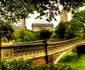 Central Park, New York jpeg