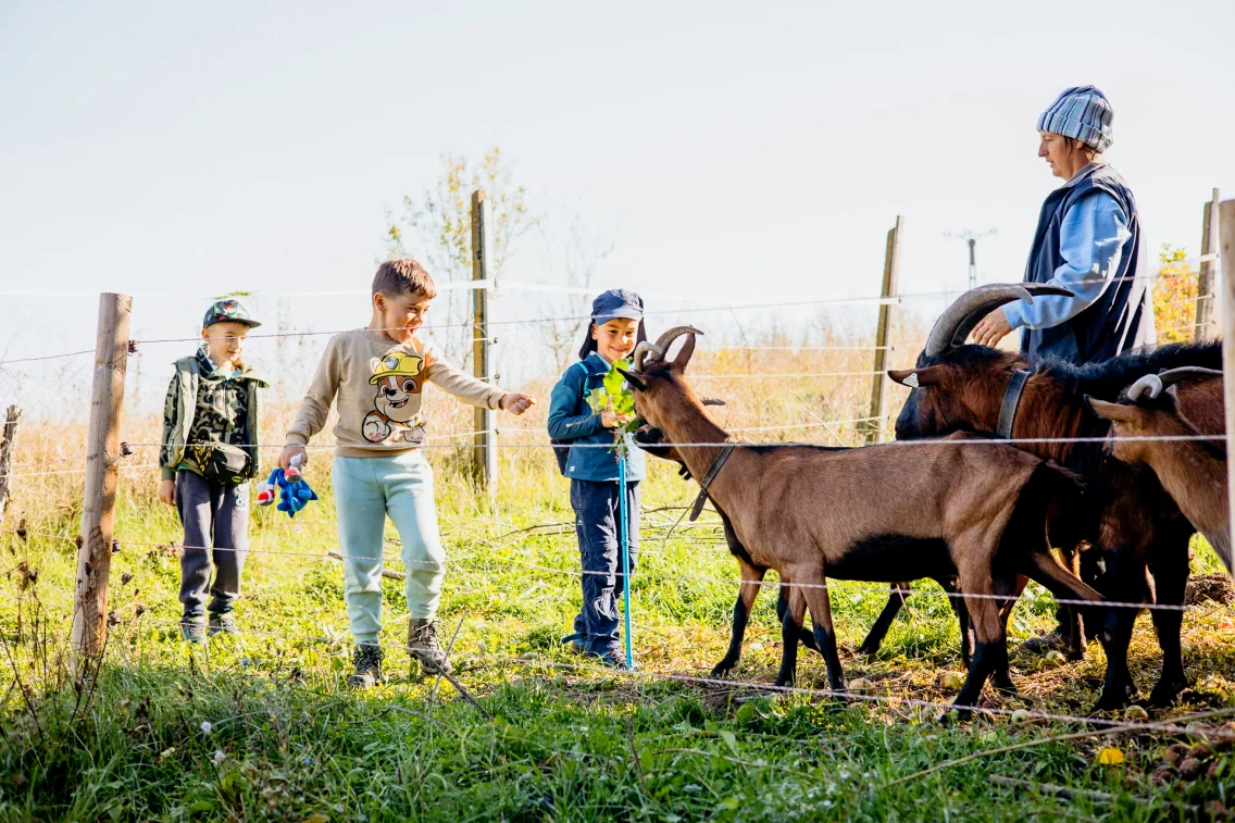Proiectul se adresează și celor mici care trebuie să învețe să iubească natura