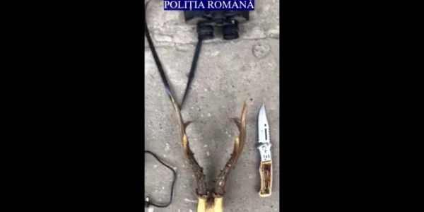 braconaj olt