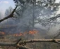 Incendiu la Cernobîl Ucraina FOTO EPA-EFE / Yaroslav Yemelianenko