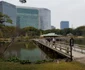 Grădinile Hamarikyu din Tokyo Japonia Foto Arhiva personală Alexandra Lopotaru