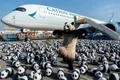 ursi panda hong kong profimedia jpg