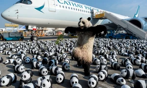 ursi panda hong kong profimedia jpg