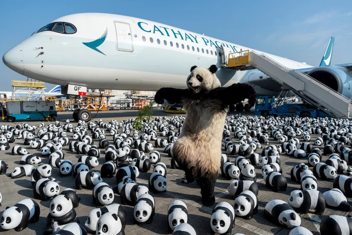 2.500 de sculpturi cu urși panda, expuse la aeroportul din Hong Kong