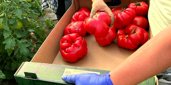 Legume produse sub brandul „Nu oricum”. FOTO Facebook