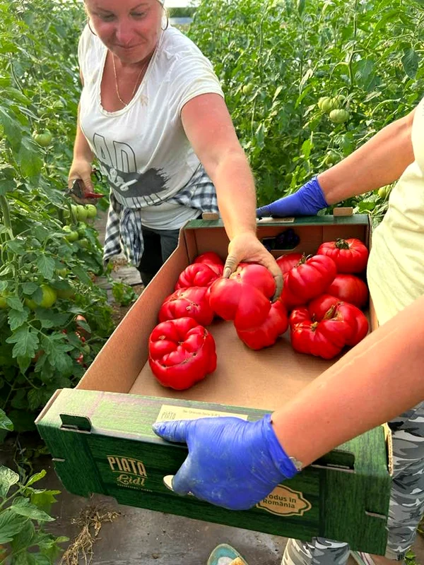Legume produse sub brandul „Nu oricum”. FOTO Facebook