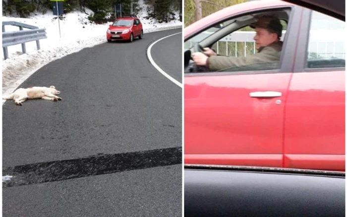 Câinele a fost împuşcat de vânătorul aflat într-un Logan roşu FOTO Facebook