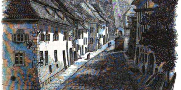 Sighişoara în secolul XIX