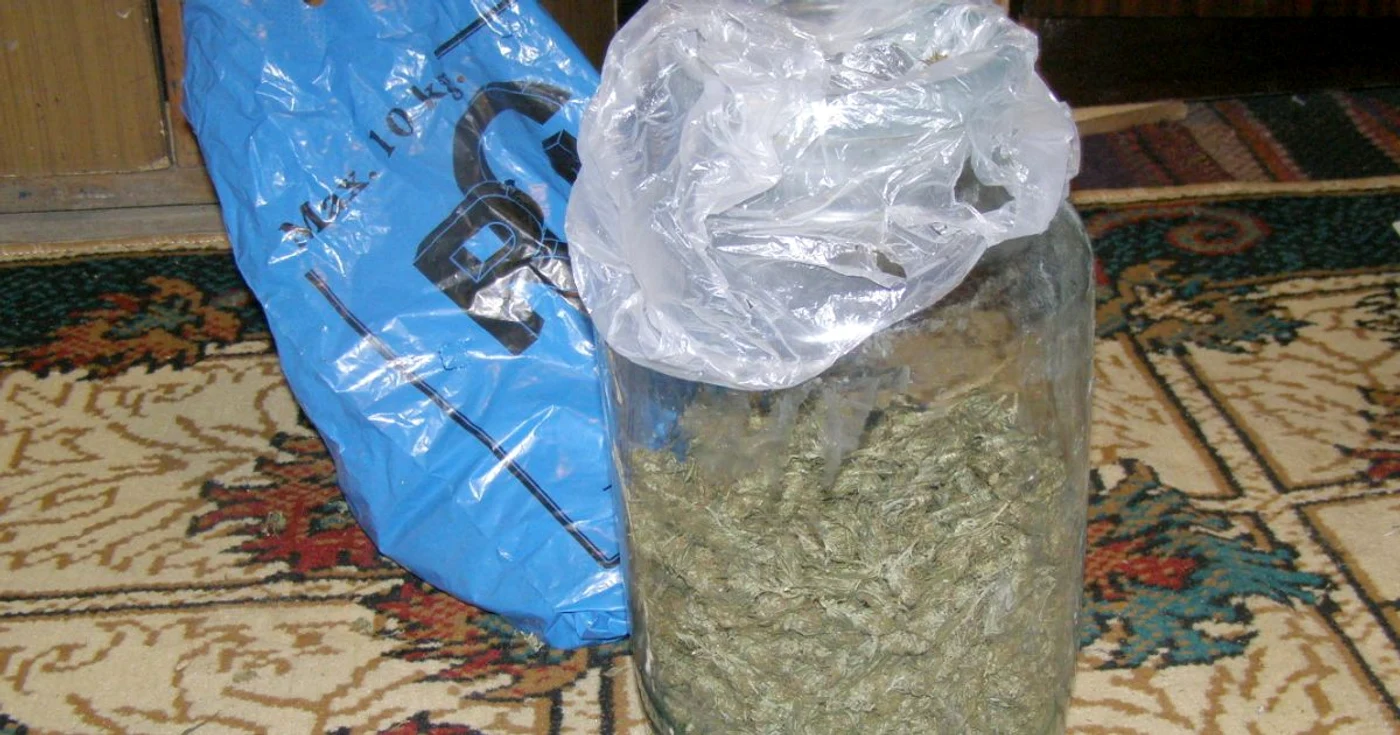 Drogurile au fost confiscate