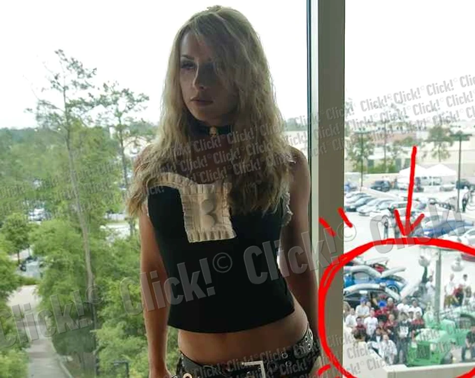 
    Blonda poartă lenjerie intimă, spre necazul celor care o privesc de afară.  