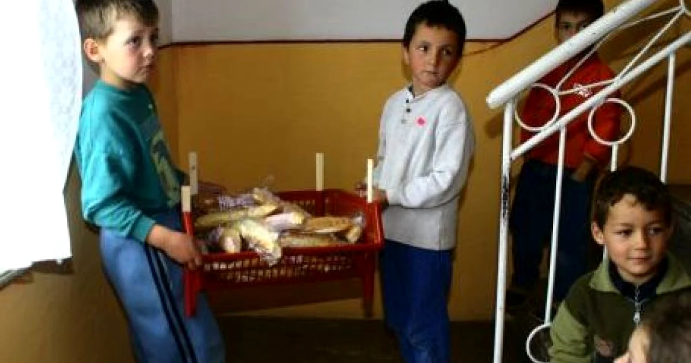 Prodlacta a sistat furnizarea de produse lactate