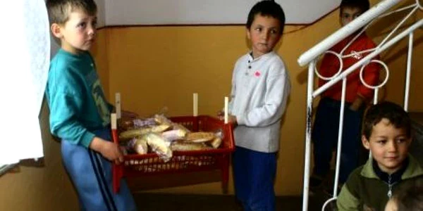 Prodlacta a sistat furnizarea de produse lactate