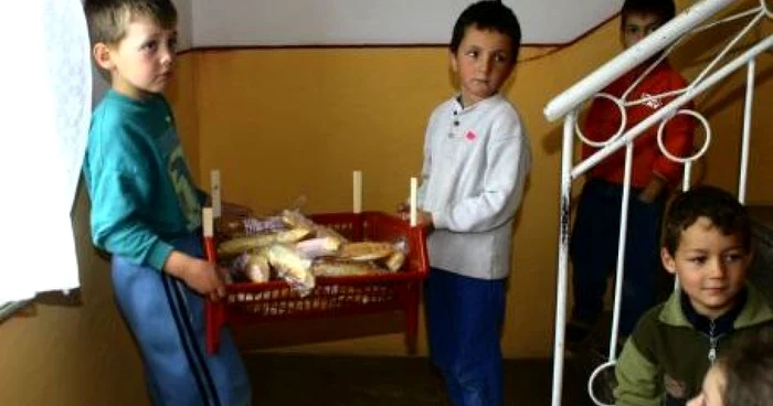 Prodlacta a sistat furnizarea de produse lactate