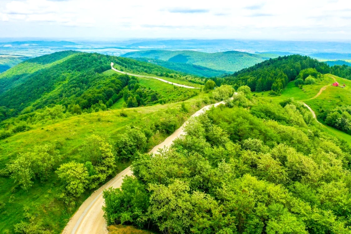 transalpina apuseni