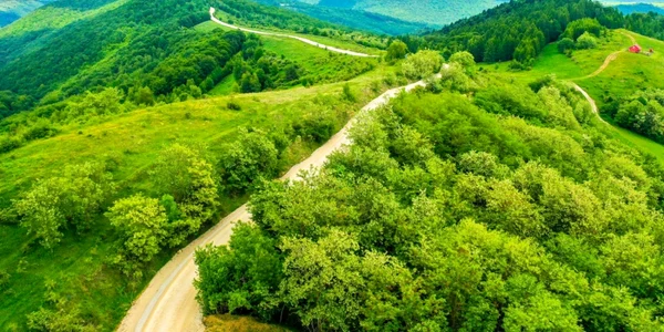 transalpina apuseni