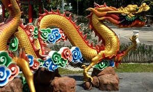 dragon chinezesc
