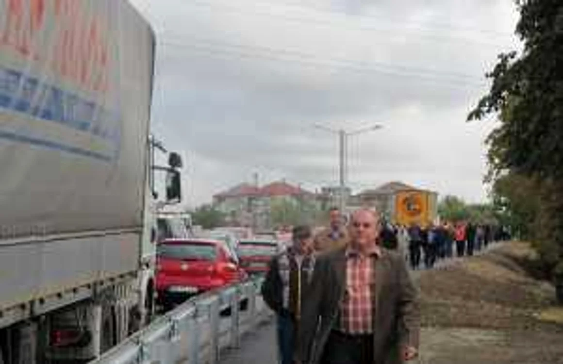 Inaugurare Pod Densuşianu II