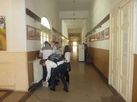 bac botosani