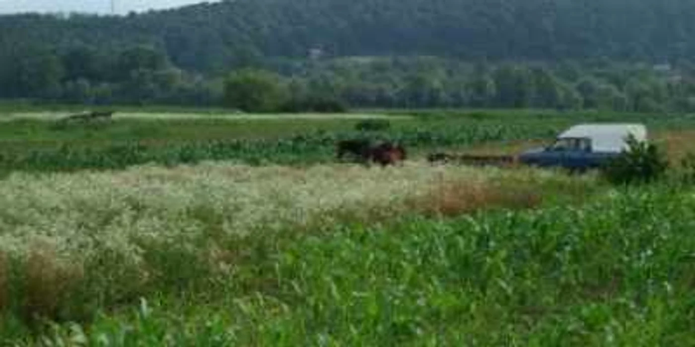 Baia Mare; Primarii maramureşeni, instruiţi pentru recensământul agricol