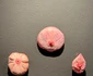 ArtSafari14 jpg