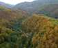 Pustiosu Foto Daniel Guță ADEVĂRUL JPG