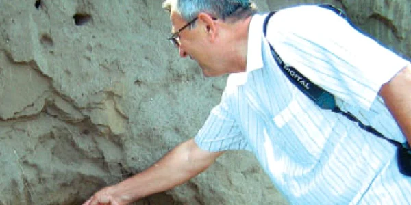 Cimitir vechi de 1.000 de ani la Crivina