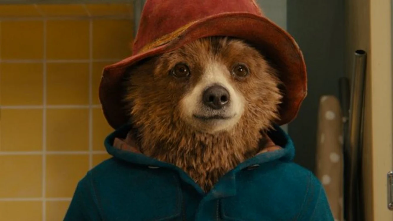 10 79358518 paddington jpg jpeg