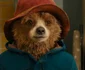 10 79358518 paddington jpg jpeg