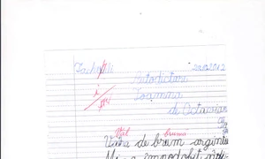 Extraordinarele întîmplări ale copiilor dislexici şi ale părinţilor lor jpeg