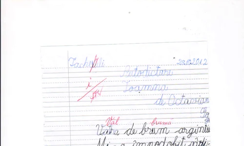 Extraordinarele întîmplări ale copiilor dislexici şi ale părinţilor lor jpeg