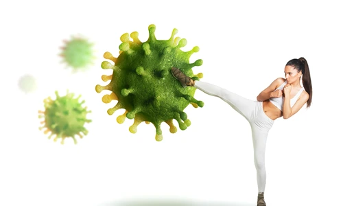 1 shutterstock 1681295365 jpg jpeg